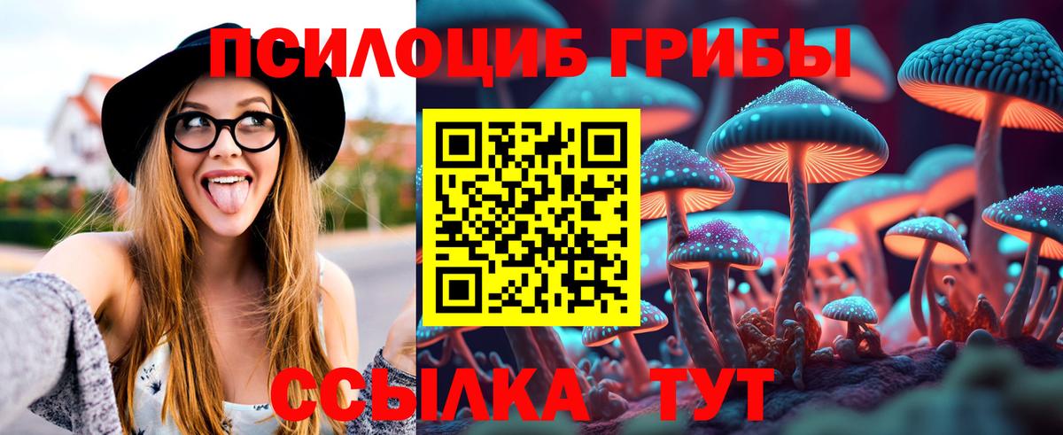Псилоцибиновые грибы мухоморы Свободный