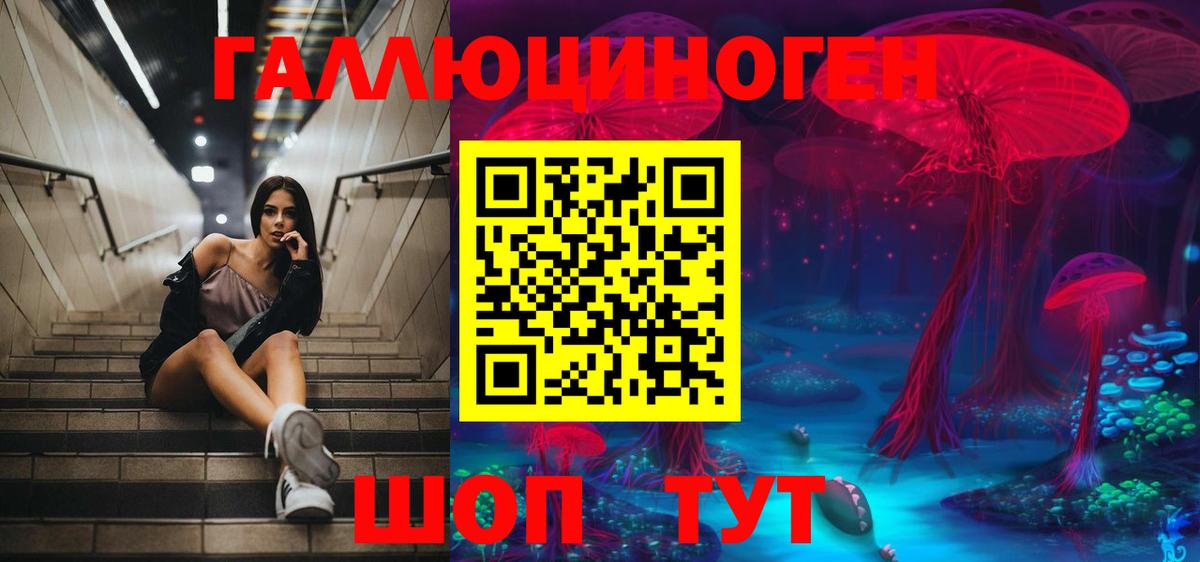 Галлюциногенные грибы MAGIC MUSHROOMS  Вход с VPN  Свободный 